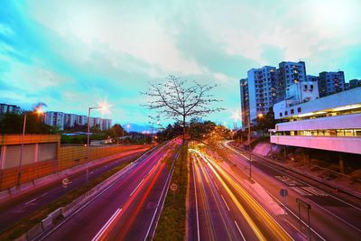 High angle view of light trails on road in city