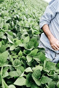 Midsection of man working on field