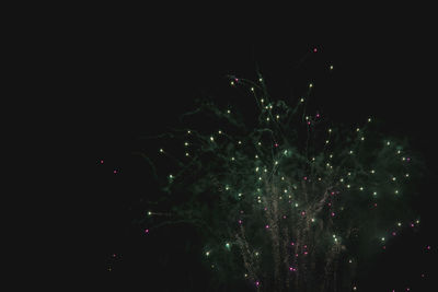 Low angle view of firework display against sky at night