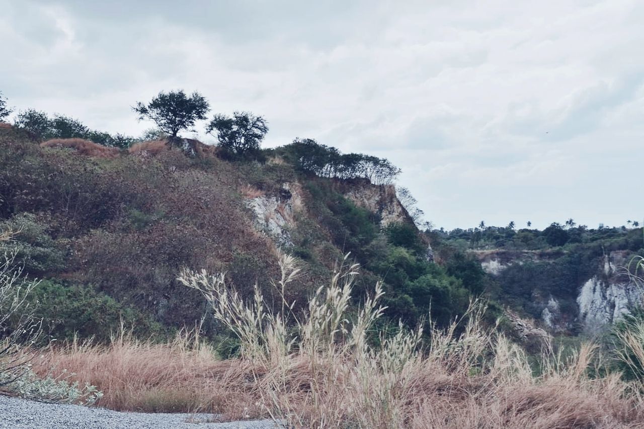 sky, cloud - sky, plant, nature, environment, landscape, land, growth, tree, no people, tranquility, beauty in nature, day, scenics - nature, tranquil scene, outdoors, non-urban scene, grass, mountain, travel, mountain range