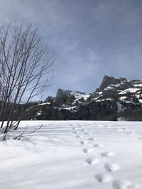 Snow covered field against sky