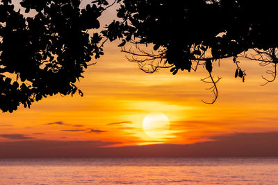 Summer sunset sky at tropical beach. view from under the tree. silhouette tree and sunset sky.