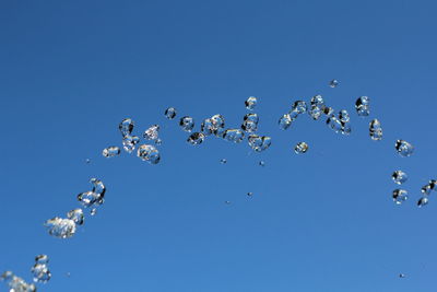 Low angle view of birds flying against clear blue sky