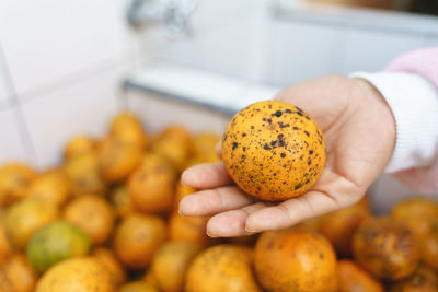 Close-up of hand holding fruit