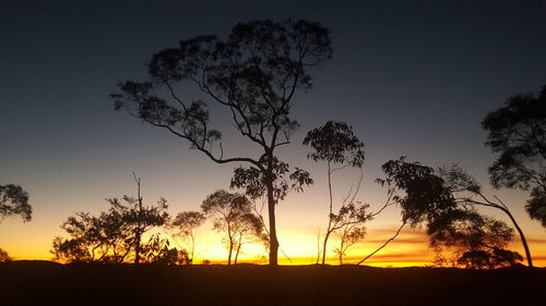Silhouette of trees on field at sunset