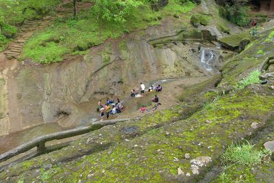 High angle view of people walking on plants