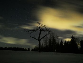 Silhouette bare trees on field against sky during winter