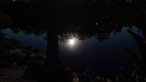 Reflection of silhouette trees in lake against sky at night