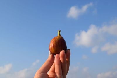 Close-up of hand holding fig against blue sky