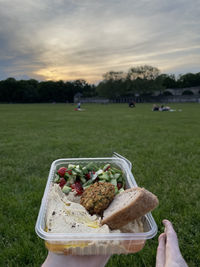 Person holding bread on field against sky