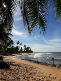 Scenic view of beach against sky