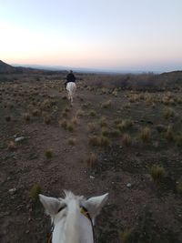 Rear view of person with umbrella against sky