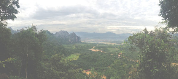Scenic view of forest against sky