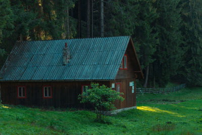 House amidst trees and plants growing on field