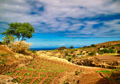 Scenic view of landscape against sky