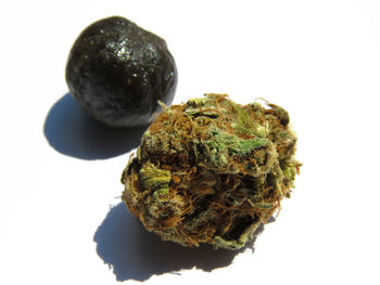 Close-up of bread against white background