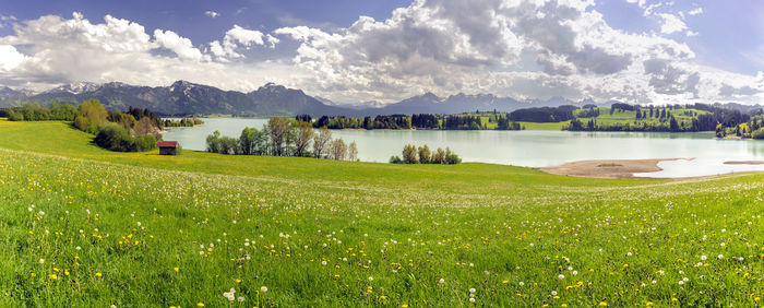 Scenic view of field by lake against sky