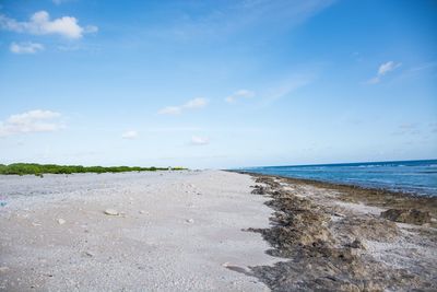 Scenic view of sea against blue sky