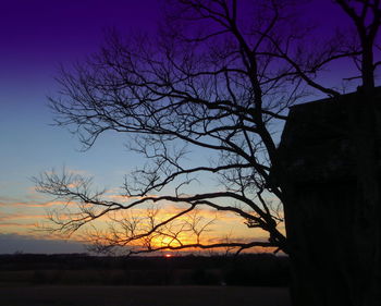 Bare trees on landscape at sunset