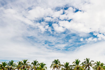 sky