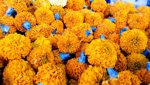 Close-up of yellow flowers in market for sale