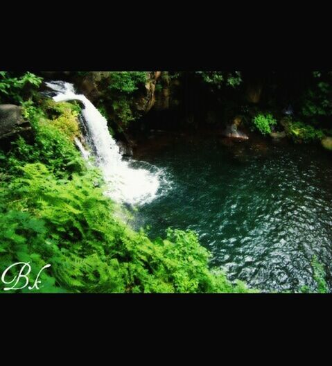 water, waterfall, forest, tree, flowing water, beauty in nature, flowing, nature, motion, scenics, green color, long exposure, growth, plant, tranquility, auto post production filter, river, tranquil scene, stream, waterfront