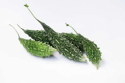 Close-up of fresh green leaves against white background