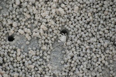 Full frame shot of stones