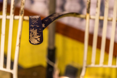 Close-up of guitar on metal fence