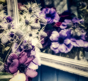 Close-up of purple flowers blooming outdoors