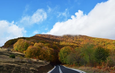 Road in the countryside leading in the forest