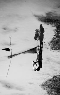 Upside down image of man against sky