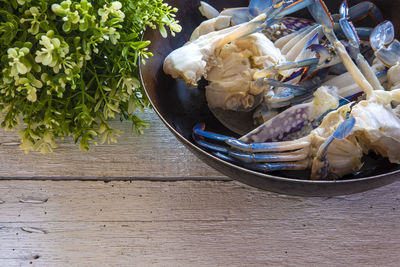 High angle view of fish on table