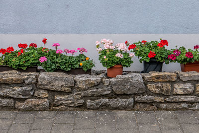 Flower pot against wall