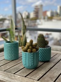 Close-up of potted cactus on table