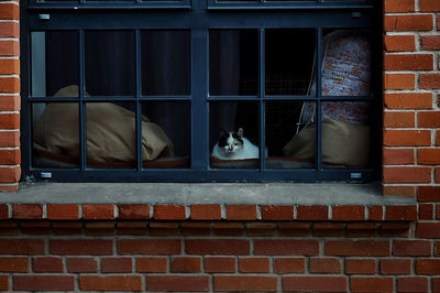 View of window on brick wall