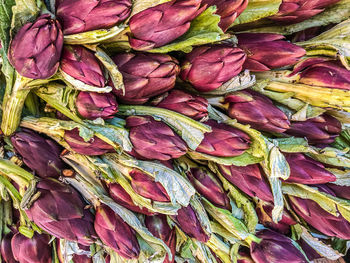 Full frame shot of leaves for sale in market