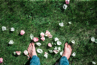 Low section of person standing on grass