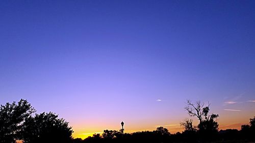 Low angle view of silhouette trees against clear sky at sunset