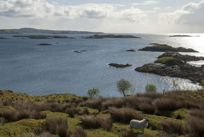 Hebrides landscape