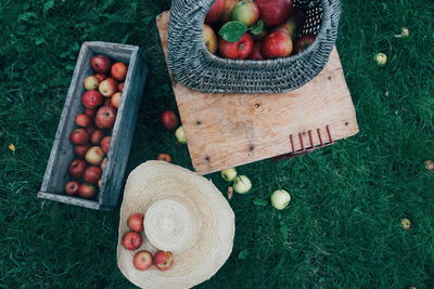 High angle view of apples in containers on field