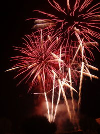 Low angle view of firework display at night