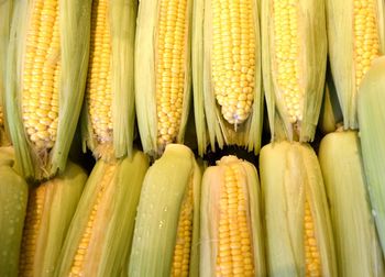 High angle view of wet corns at market
