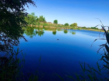 Scenic view of lake against clear blue sky