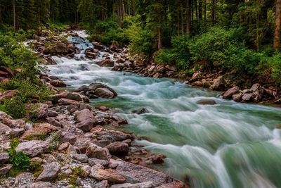 Scenic view of waterfall in forest