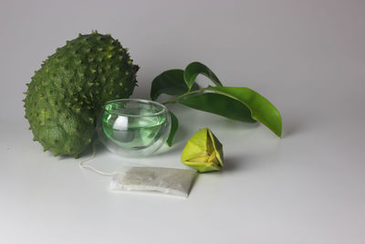 High angle view of vegetables on table against white background