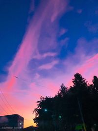 Low angle view of silhouette trees against sky at sunset