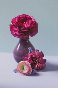 Close-up of pink rose in vase