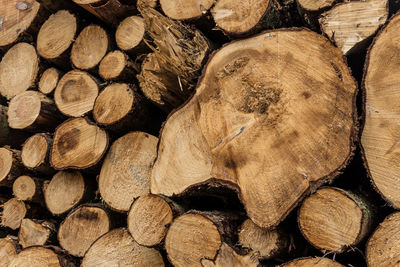 Full frame shot of logs in forest