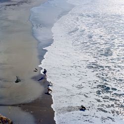 High angle view of people on beach